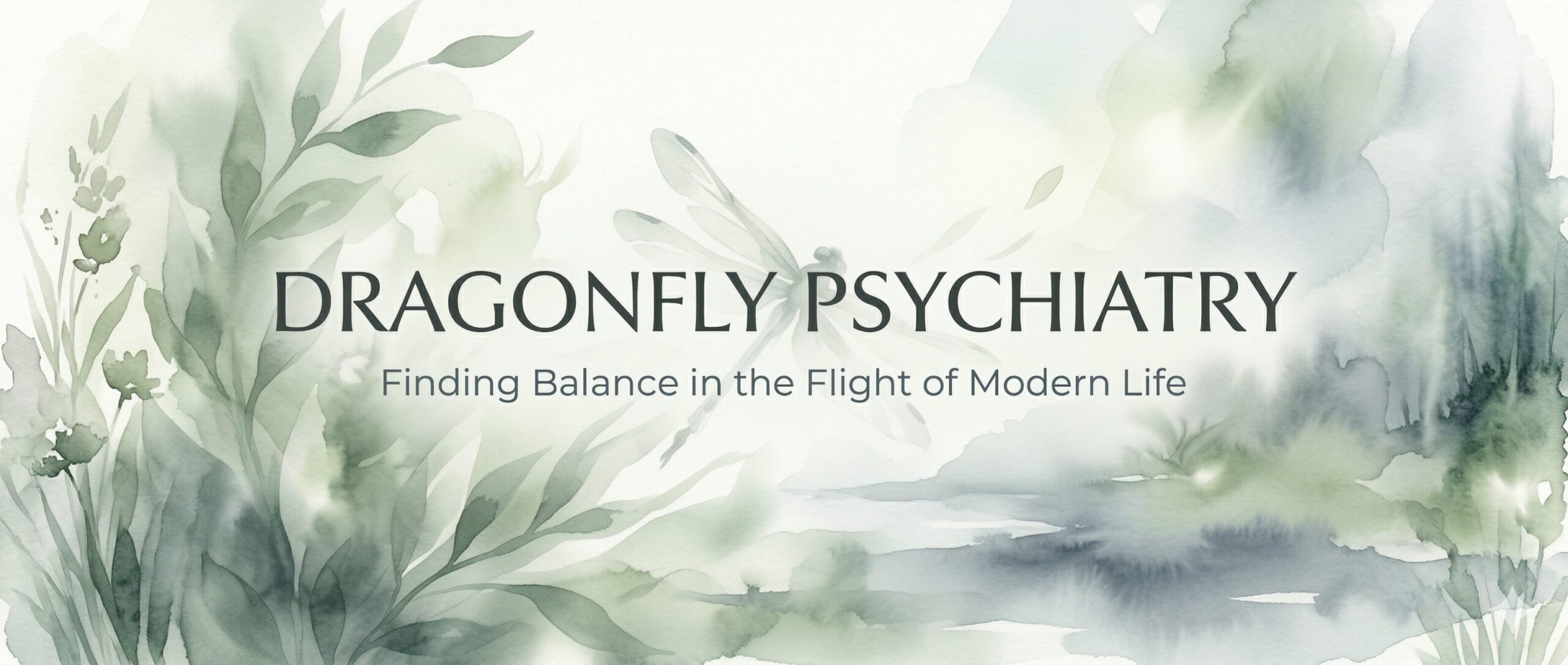 Dragonfly Psychiatry